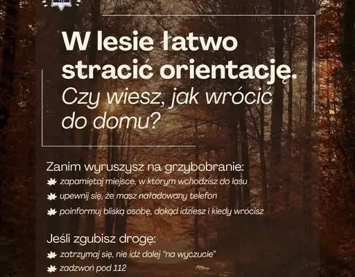 Zaginęła 76-latka podczas grzybobrania. Znalazł ją policyjny śmigłowiec
