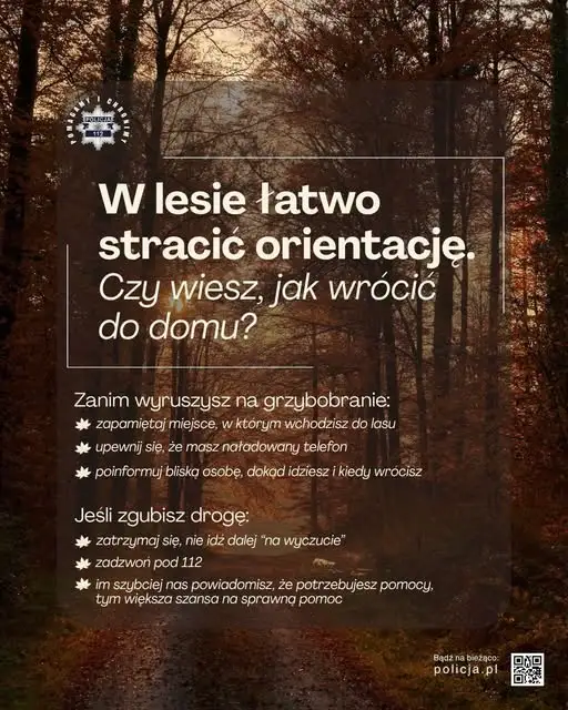 Zaginęła 76-latka podczas grzybobrania. Znalazł ją policyjny śmigłowiec