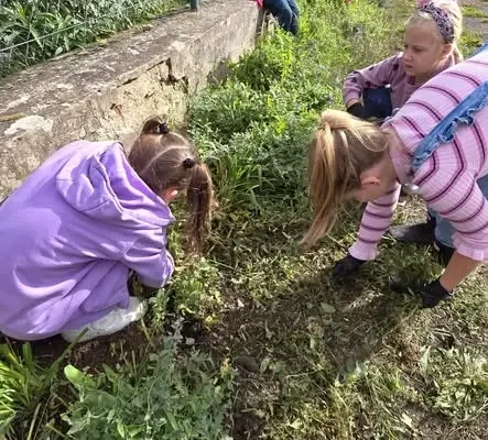 Sprzątanie Świata w szkole: uczniowie zadbali o szkolne rabaty