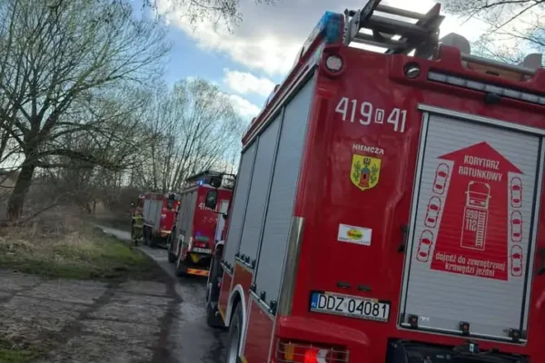 Strażacy z Niemczy oddali hołd poległym druhom
