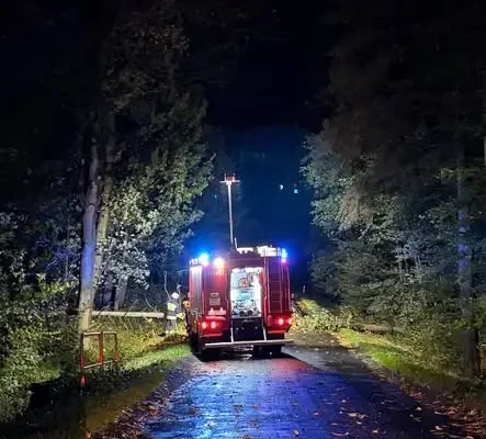 Piława Górna: Powalone drzewo blokowało przejazd. Interwencja strażaków OSP