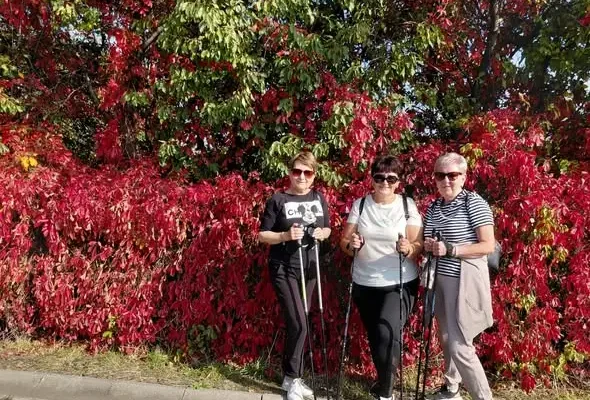 Jesienny spacer z książką w Pieszycach – nordic walking i rozmowy o „Jesieni” Knausgårda