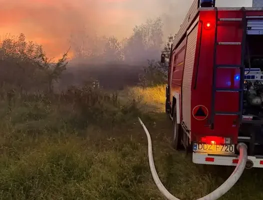 Pożar śmieci przy ul. Łowieckiej — interweniowały OSP Łagiewniki i PSP Dzierżoniów