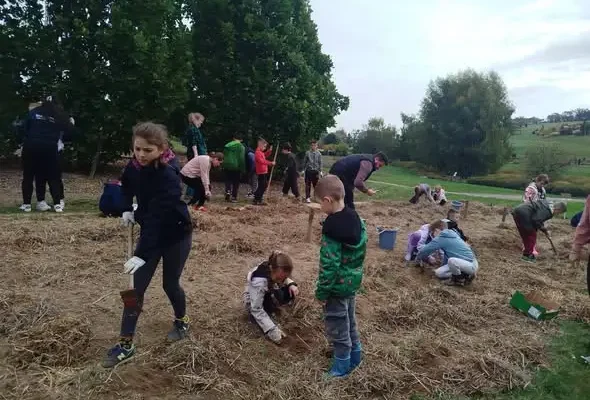 Jesienne wykopki w Arboretum Wojsławice – uczniowie z Piławy zbierali plony