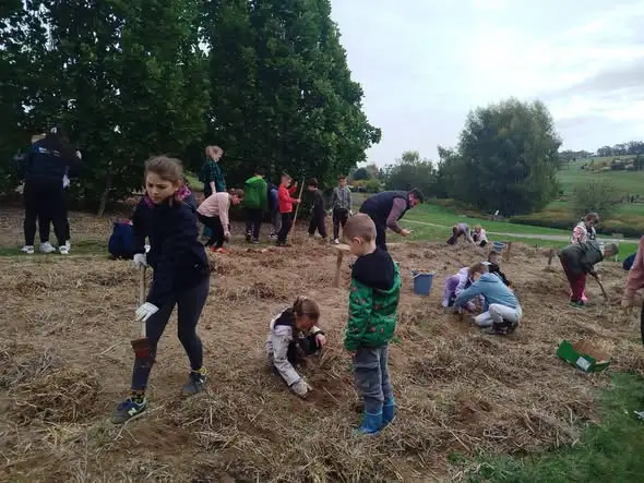 Jesienne wykopki w Arboretum Wojsławice – uczniowie z Piławy zbierali plony