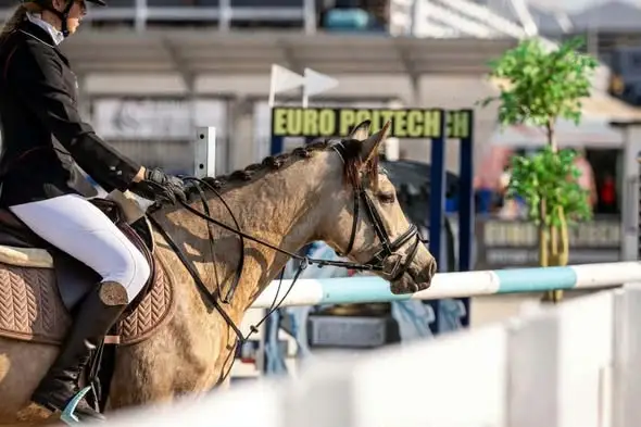 Hanna Kupiec z klasy 6a znów na podium – trzy pierwsze miejsca w Ranczo Gościszów